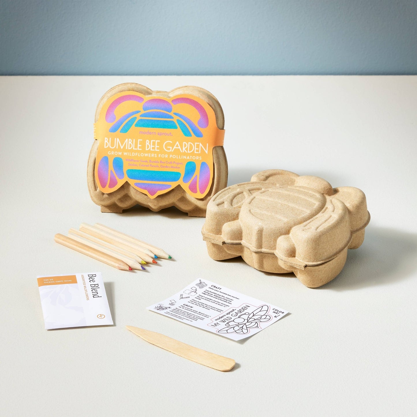 Curious Critters Activity Kit - vibeboxshop