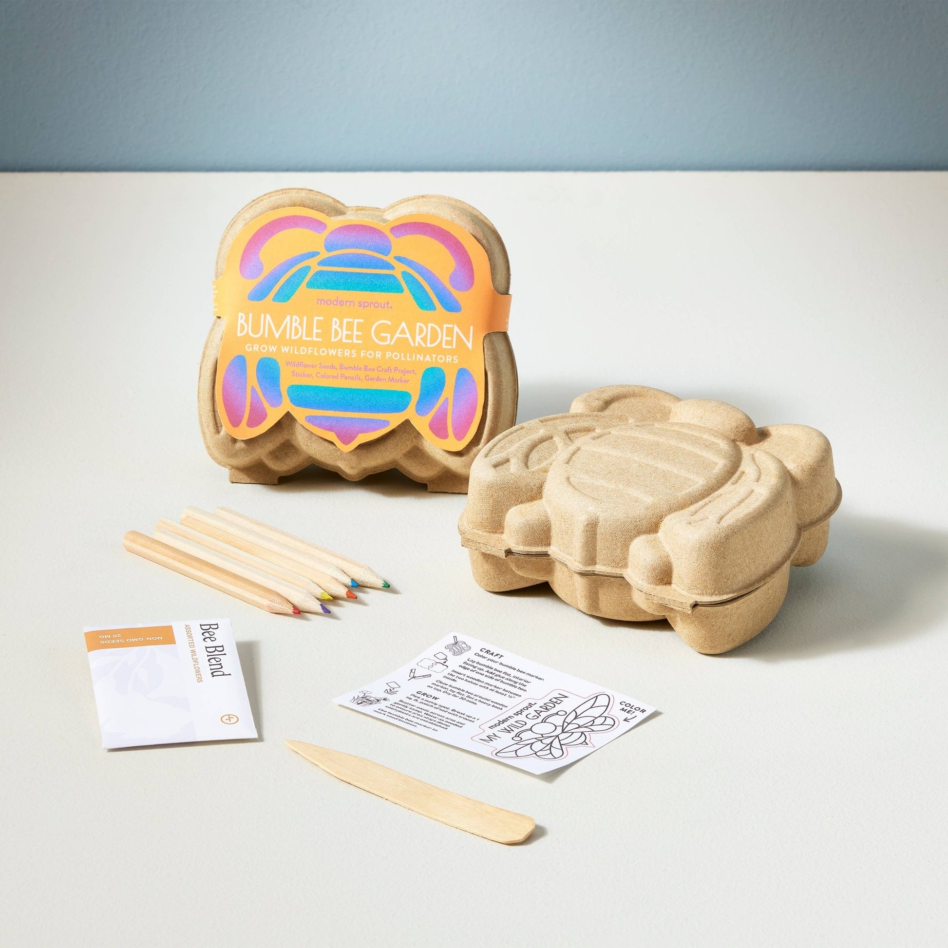 Curious Critters Activity Kit - vibeboxshop