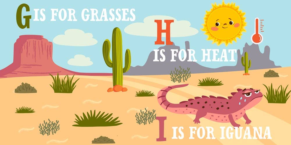 D is for Desert - vibeboxshop