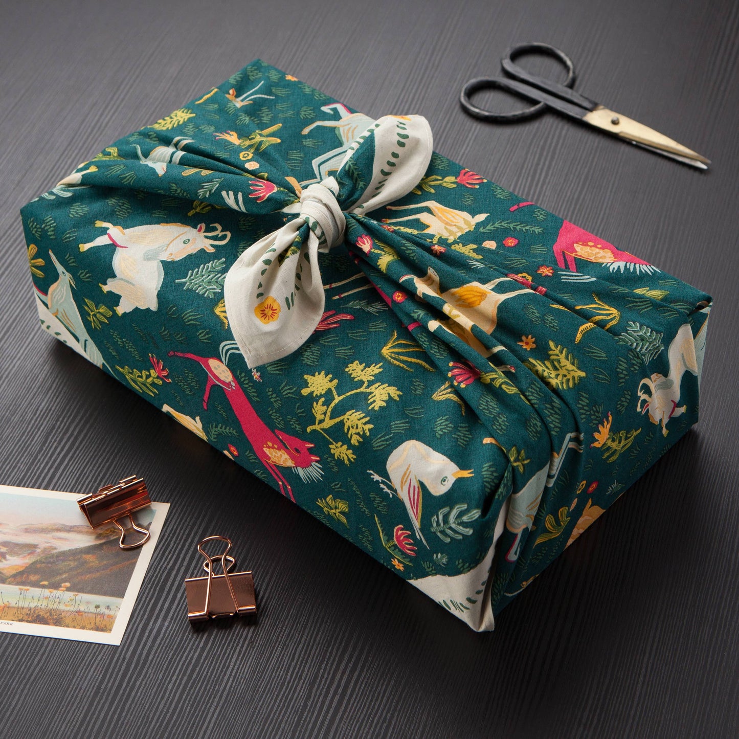 Danica Studio Boundless Recycled Reusable Gift Wrap