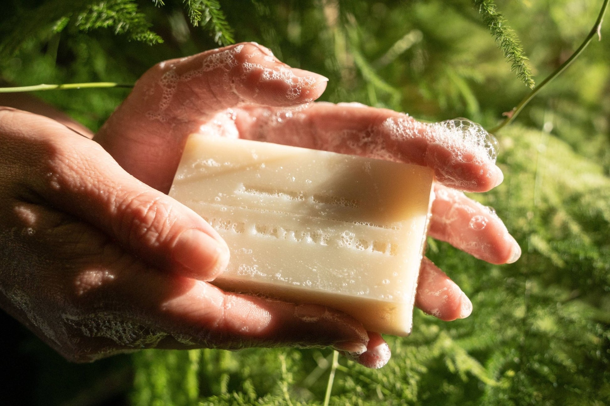 Desert Cedar Organic Bar Soap - vibeboxshop