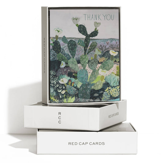 Desert Landscape Thank You Card Box Set - vibeboxshop