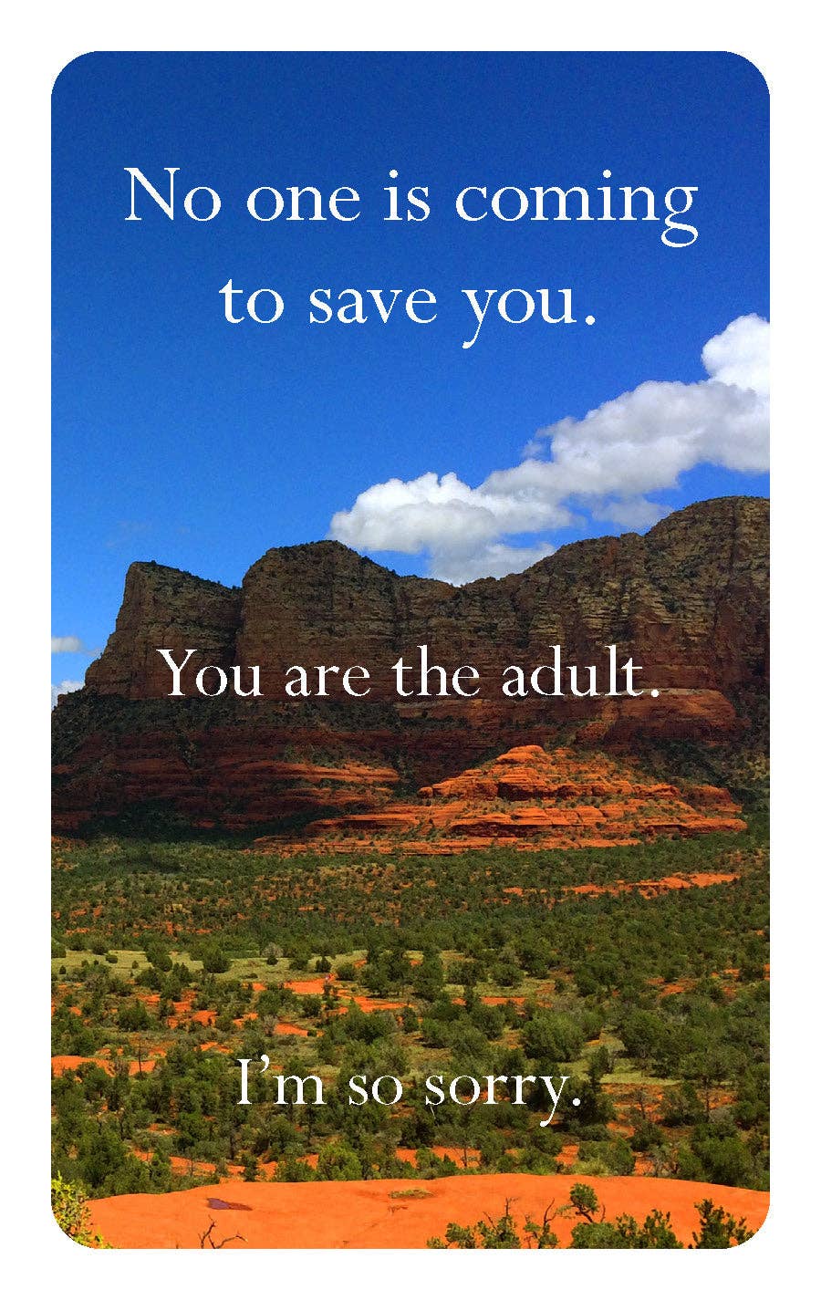 Disappointing Affirmations Deck - vibeboxshop