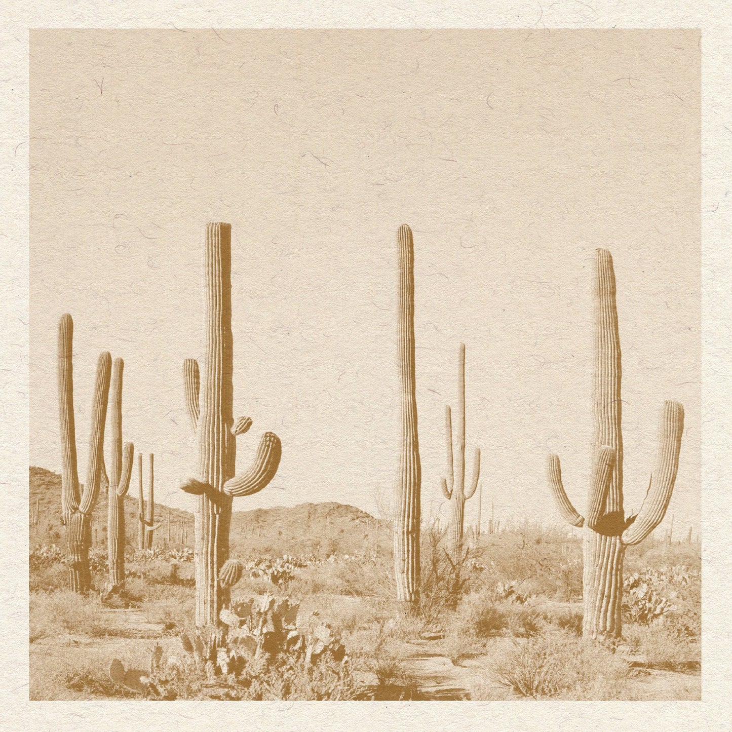 Desert Print, Boho art print, Minimalist desert, cactus poster