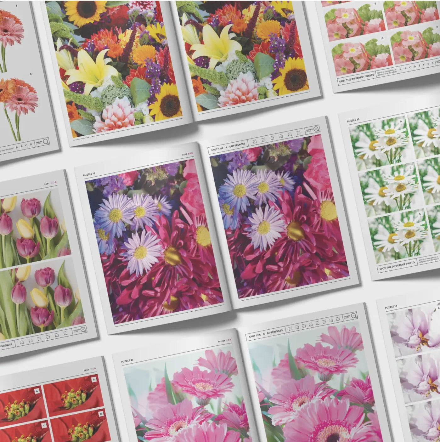 Flowers Spot the Difference Puzzles, Activity Book, I Spy