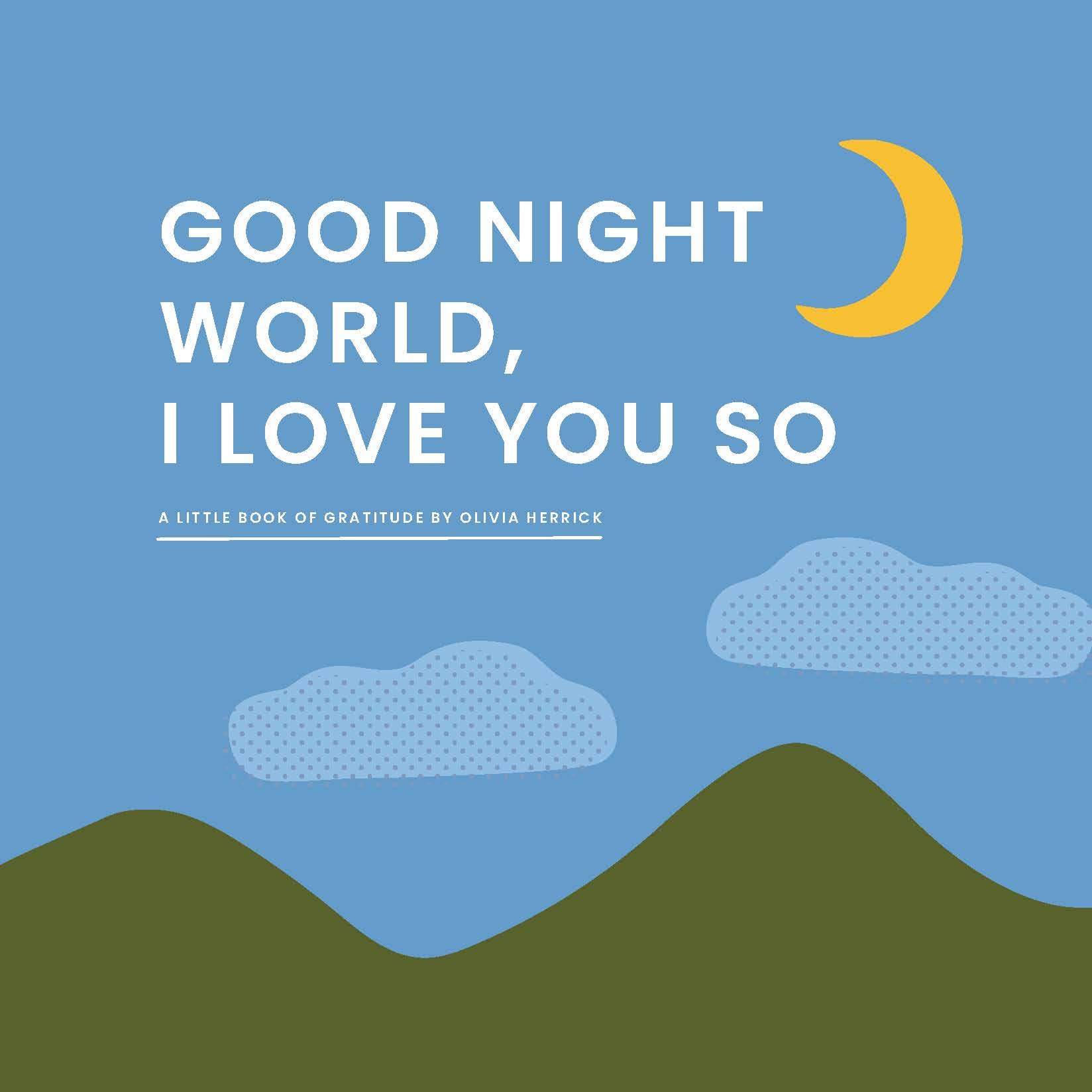 Good Night, World—I Love You So Book - vibeboxshop