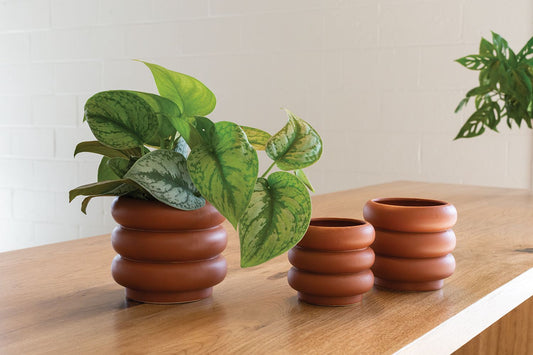 Motley Pot - vibeboxshop