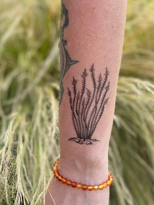 Ocotillo Temporary Tattoo: 1 Pack - vibeboxshop