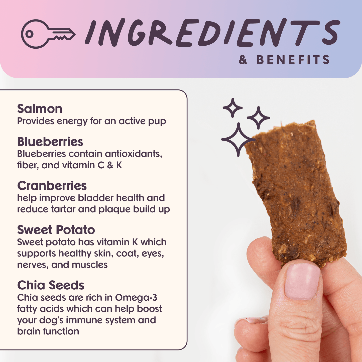 Ride & Vibe Salmon Superfood Jerky Bars for Dogs 5oz - vibeboxshop