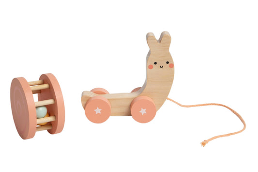Snail Wooden Pull Toy - vibeboxshop