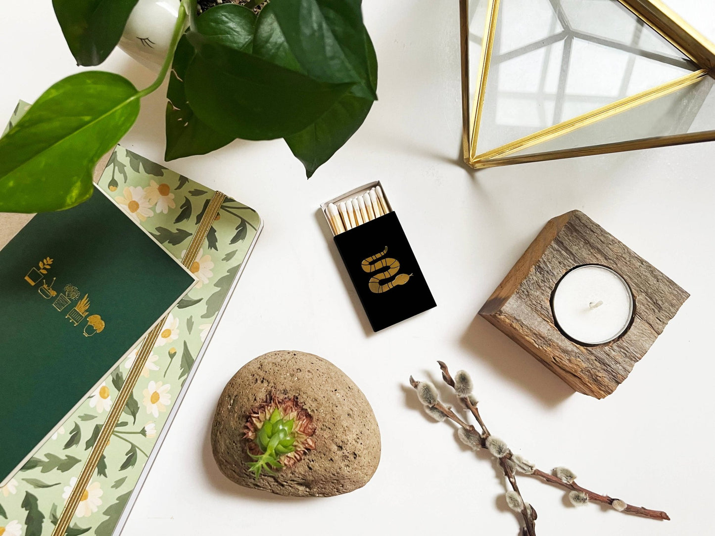 Snake Matchbox - vibeboxshop