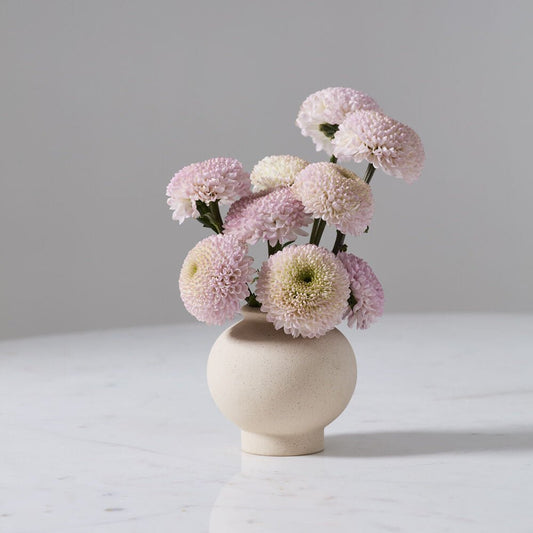 Stockton Budvase - vibeboxshop
