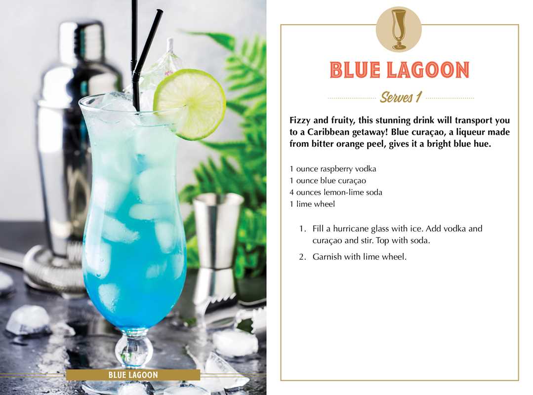 Summer Sips by Adams Media - vibeboxshop