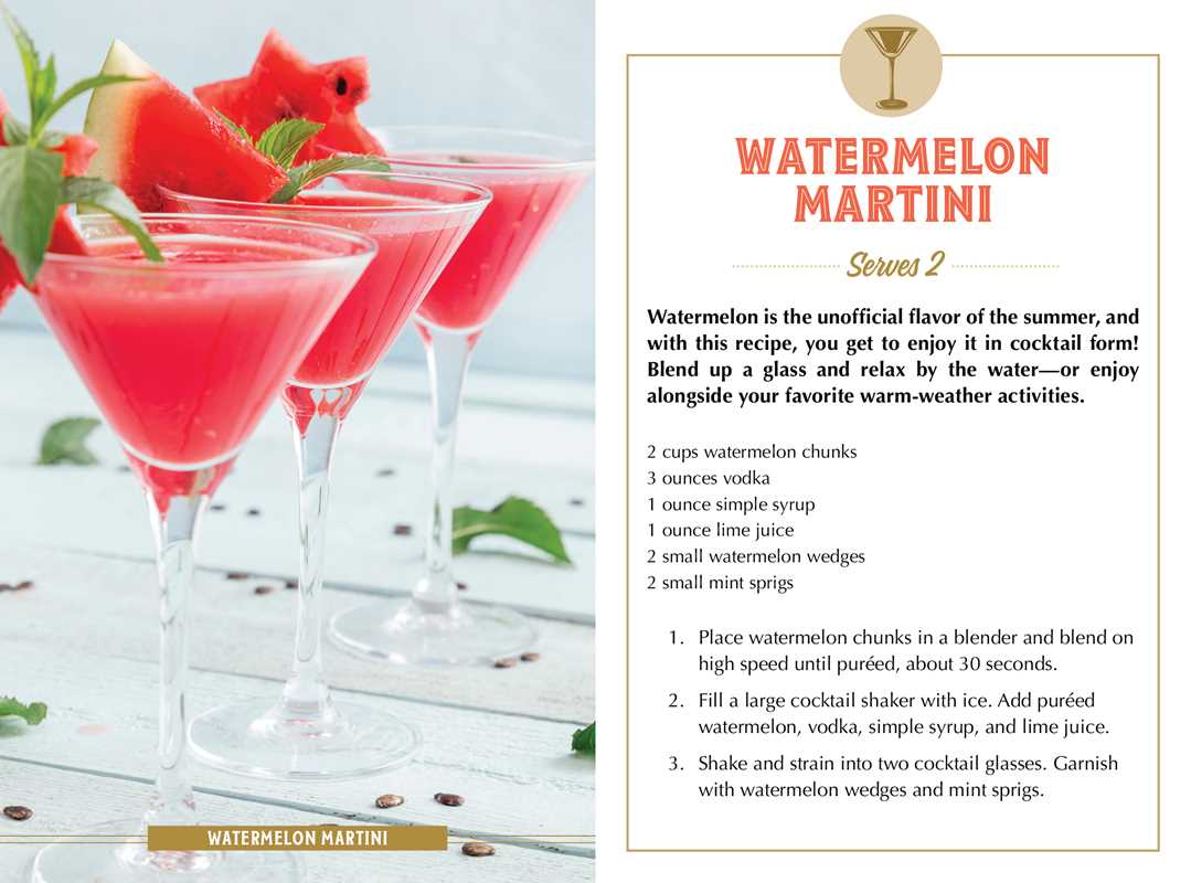 Summer Sips by Adams Media - vibeboxshop