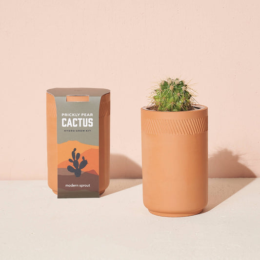 Terracotta Grow Kit - vibeboxshop