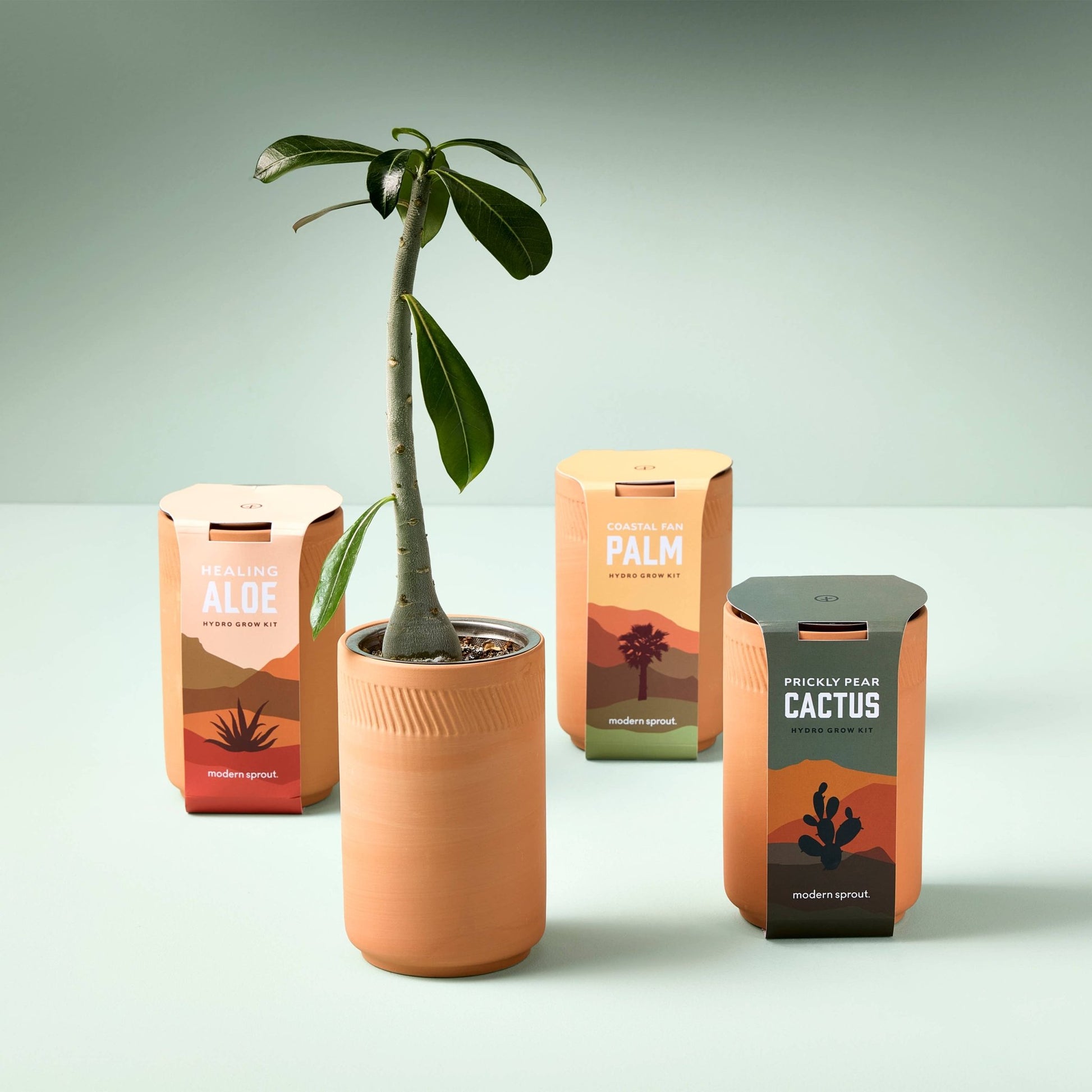 Terracotta Grow Kit - vibeboxshop