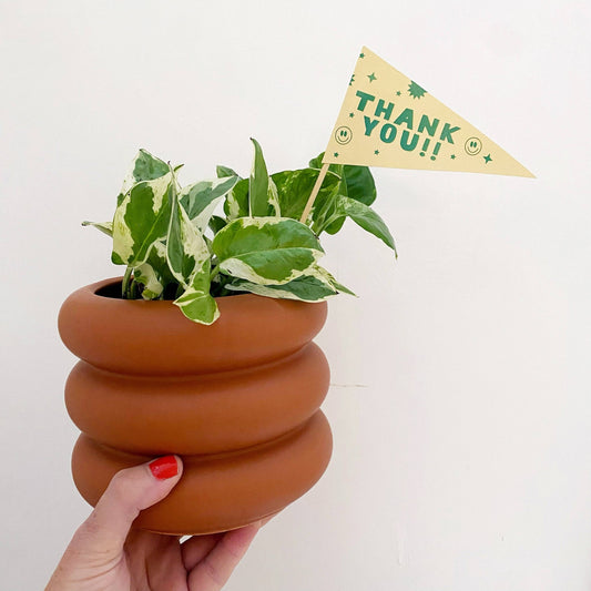 Thank you Plant Flag - vibeboxshop