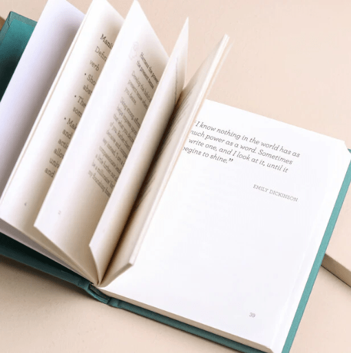 The Little Book of Manifesting - vibeboxshop