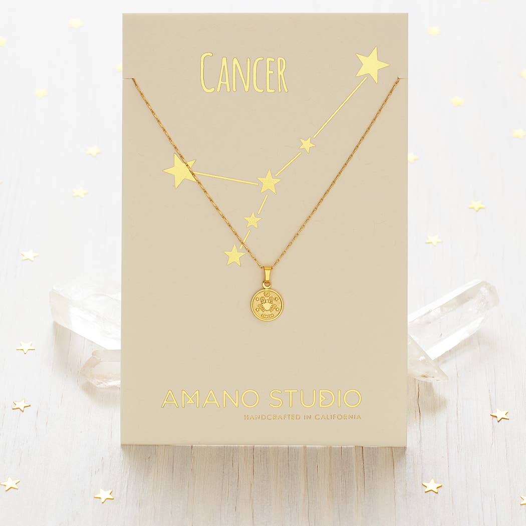 Tiny Zodiac Medallion Necklace - vibeboxshop