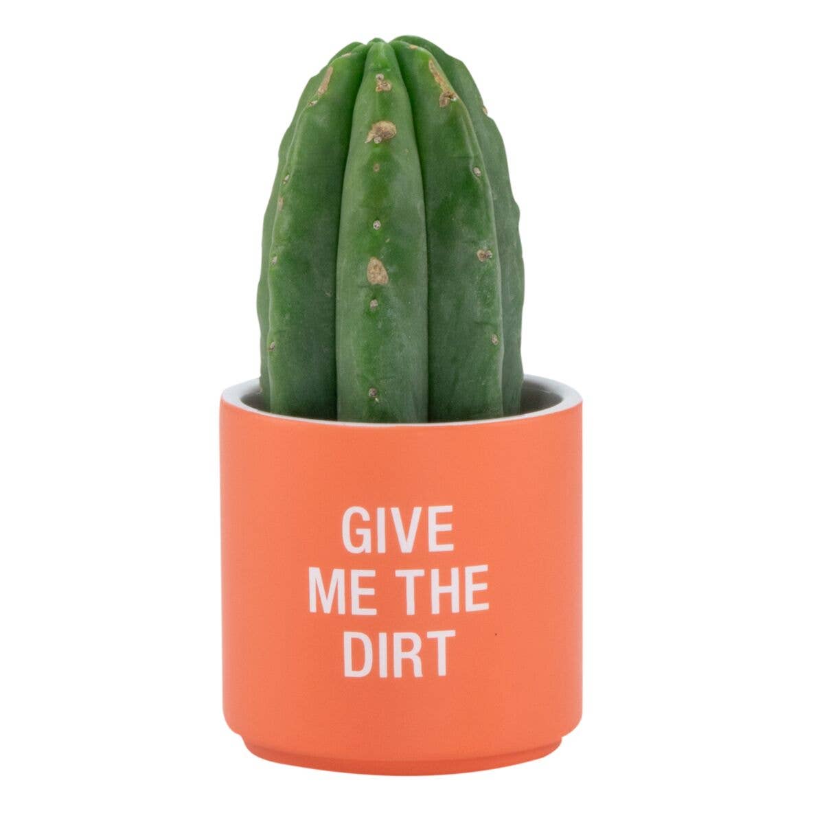 Give Me the Dirt Small Planter