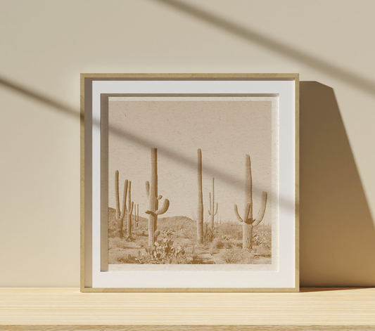 Desert Print