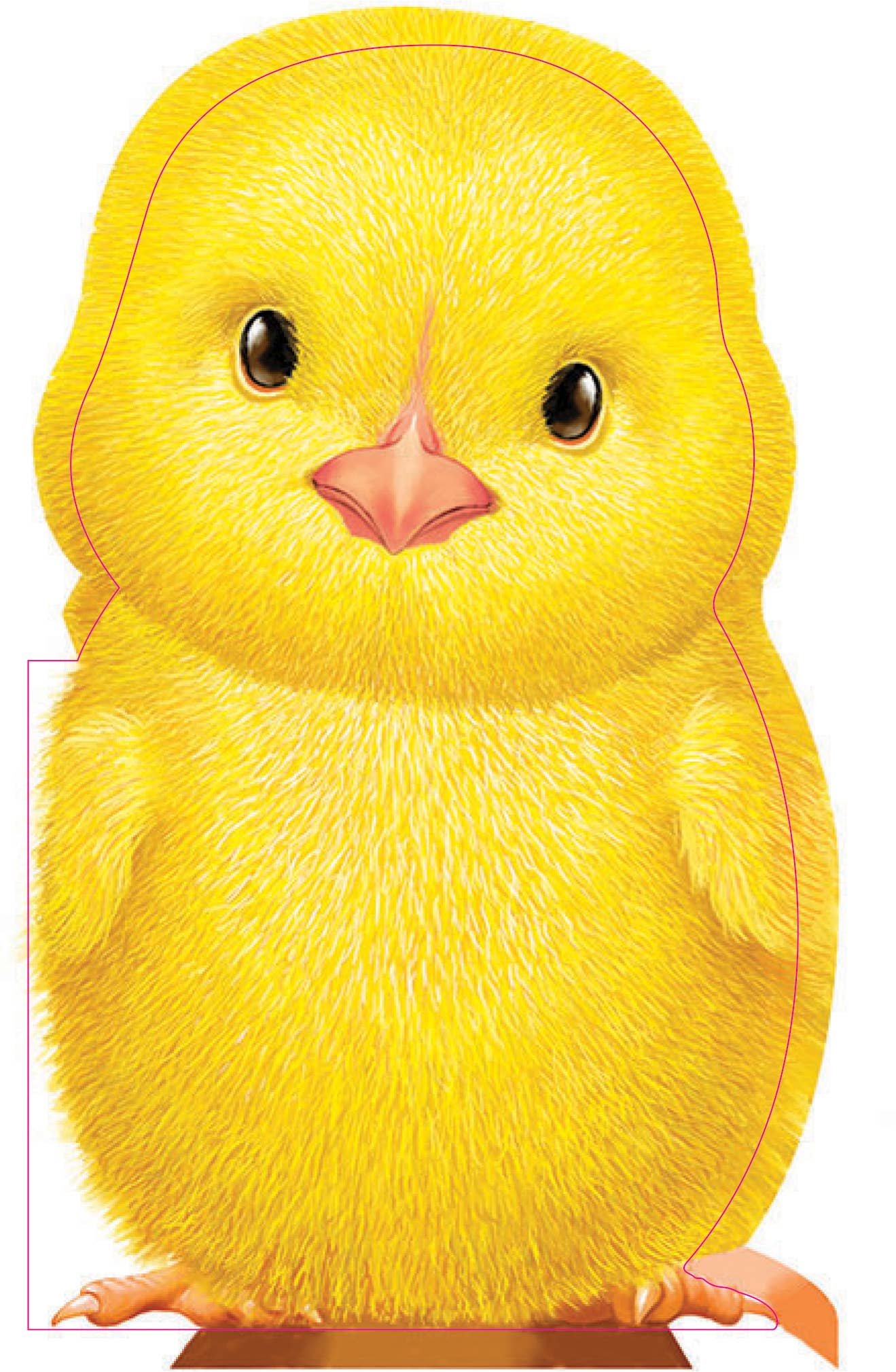 Furry Chick Baby Book