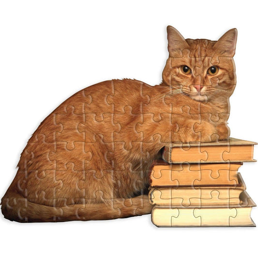 Cat Reader Jiggie Puzzle - vibeboxshop