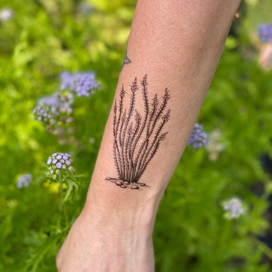 Ocotillo Temporary Tattoo: 1 Pack - vibeboxshop